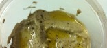 Crema d'albergínies - baba ganoush